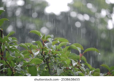 The rain will never end