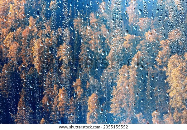 rain window view, water drops on\
glass view forest and mountains landscape\
background
