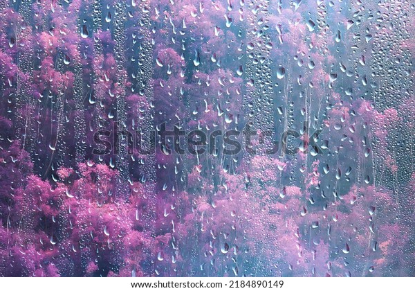 rain window view, water drops on
glass view forest and mountains landscape
background