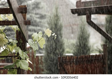 Rain In The Yard - In The Background A Pergola With Vines And A Roof Gutter