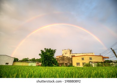 Rainbow
