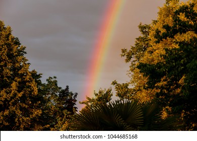 The Rainbow After The Storm