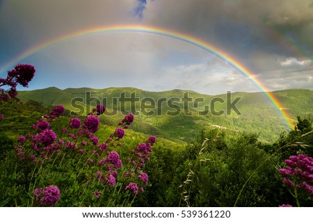 The Rainbow after the storm