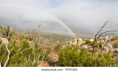 Rainbow after Thunderstorm in Anza-Borrego Desert State Park, Southern California, USA
