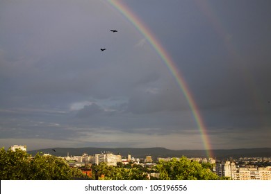 雨上がり 虹 の画像 写真素材 ベクター画像 Shutterstock