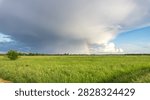 Rainbow arcs through storm clouds over open grassland. Green fields stretch wide beneath a dramatic sky
