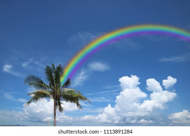 Rainbow Back White Cloud On Sky And Coconut Plam Tree, Concept God Bless, Luck, Wish, Gift