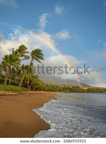 Rainbow in the backdrop of an ocean beach and palms trees on Maui