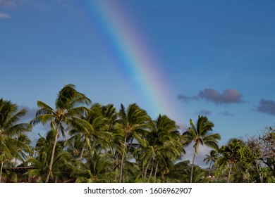 Rainbow Blue Hawaiian Sky Palm Tress Stock Photo 1606962907 | Shutterstock