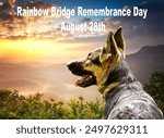 Rainbow Bridge Remembrance Day August 28 28th. Beautiful German Shepherd dog. Pet loss. Grief sadness sorrow pain. Heaven hope. Annual observance animal lovers. Valley sunrise sunset mist. Beautiful.