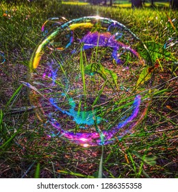 rainbow bubble on grass