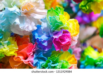 Rainbow Carnations Flowers