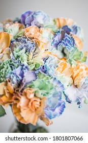 Rainbow Carnations On A White Background In A Transparent Vase