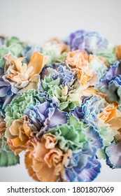 Rainbow Carnations On A White Background In A Transparent Vase