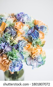 Rainbow Carnations On A White Background In A Transparent Vase