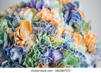 Rainbow Carnations On A White Background In A Transparent Vase