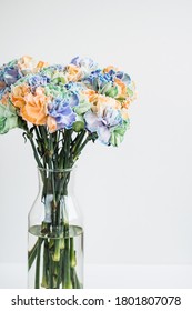 Rainbow Carnations On A White Background In A Transparent Vase