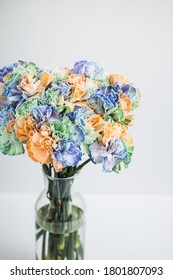 Rainbow Carnations On A White Background In A Transparent Vase