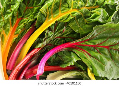 Rainbow Chard