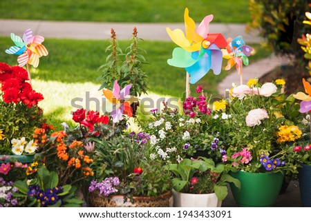 Rainbow colored paper windmill propeller decoration for potted plants. Front yard summer and spring decor.