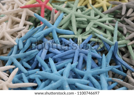 rainbow colored starfish
