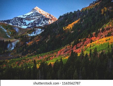 A Rainbow Of Fall/autumn Colors At The Top Of The Alpine Loop In American Fork Canyon, Utah County, USA.