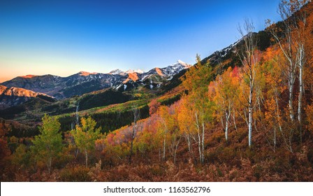 A Rainbow Of Fall/autumn Colors At The Top Of The Alpine Loop In American Fork Canyon, Utah County, USA.