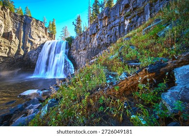 Rainbow Falls Waterfall Basalt Cliffs and Wildflowers in Devils Postpile California
