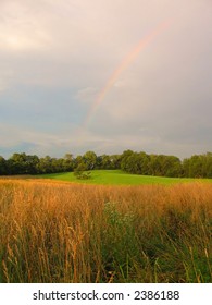 Rainbow in the Field