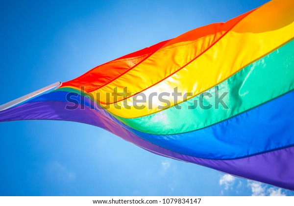 12番通りのマイアミビーチのゲイのビーチに虹の国旗 フロリダ州 米国