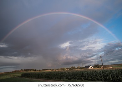 A rainbow forms over a forest after an afternoon thundershower.