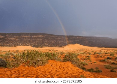 Rainbow Forms over Soaked Sand at Coral Pink Sand Dunes State Park Utah