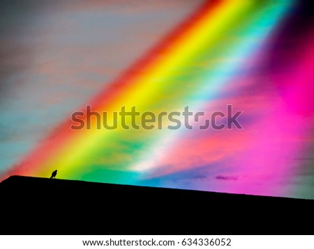 Similar – Image, Stock Photo somewhere…. Rainbow