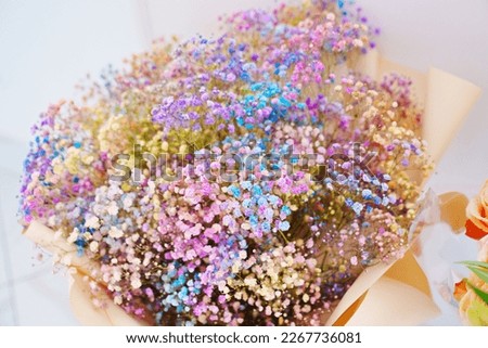 rainbow gypsophila bouquet. Durable flowers for gift and interior decoration.