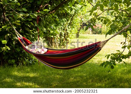 Rainbow hammock in the garden