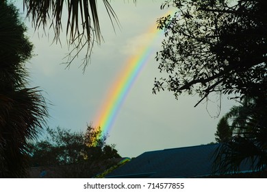 A rainbow left in the wake of Hurricane Irma 