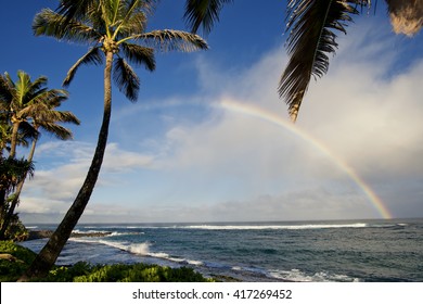 Rainbow At Maui