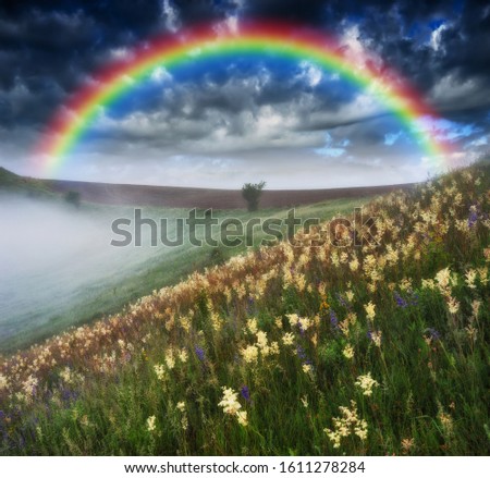 Similar – Image, Stock Photo After today’s news, here’s a rainbow for everyone