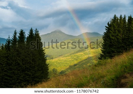 RAINBOW IN THE MOUNTAIN BETWEEN TREES WITH HIGH PEAK