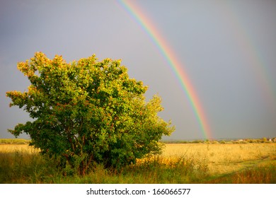 9 903件の 雨上がり 虹 の画像 写真素材 ベクター画像 Shutterstock