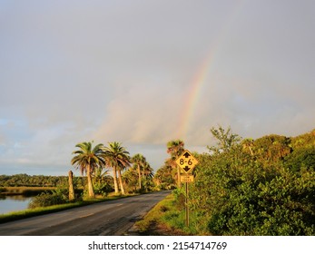 Rainbow In Ormond Beach Florida