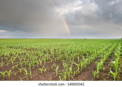 Corn Field Rainbow Images, Stock Photos & Vectors | Shutterstock