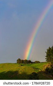 Rainbow Over Farm Land In The Morning, New Zealand