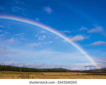 A rainbow over the field in spring