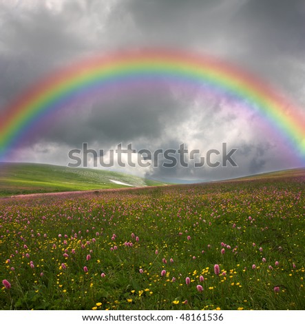 rainbow over flowered field