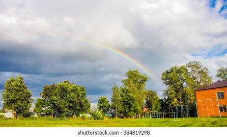 Rainbow over forest