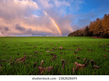 Rainbow over the green fields