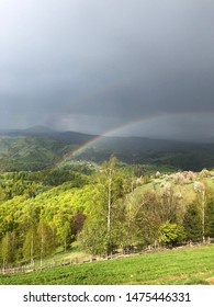 Rainbow over the green trees