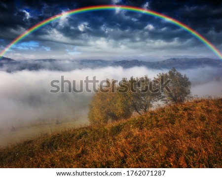 Similar – Image, Stock Photo After today’s news, here’s a rainbow for everyone