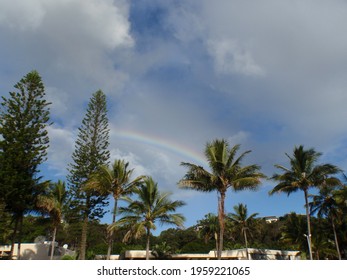 Rainbow Over Palm Trees On Moreton Island, Brisbane, Queensland, Australia